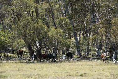 785 Wainui Road Buckenderra NSW 2630 - Image 2