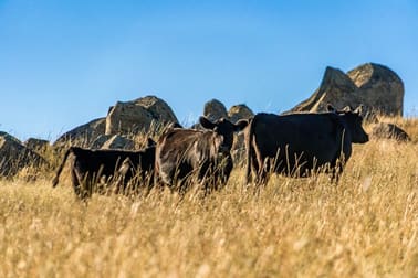 Click to view all images Lucan Park Road Lyndhurst NSW 2797 - Image 3