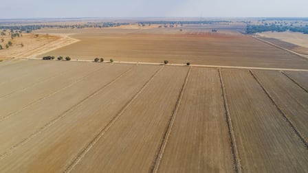 11497 Newell Highway Morundah NSW 2700 - Image 2