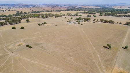 93 Racecourse Lane Stockinbingal NSW 2725 - Image 2