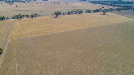93 Racecourse Lane Stockinbingal NSW 2725 - Image 3