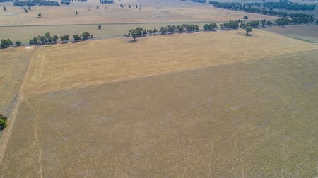 93 Racecourse Lane Stockinbingal NSW 2725 - Image 3