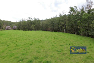246 Bowman River Road Gloucester NSW 2422 - Image 3
