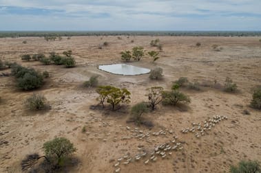 Click to view all images 11677 Quilbone Merri Merri Road Quambone NSW 2831 - Image 1