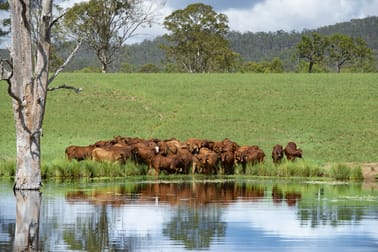 1519 Agnesvale Rd Kullogum QLD 4660 - Image 2