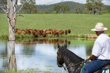 1519 Agnesvale Rd Kullogum QLD 4660 - Image 1