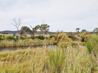 4687 Cooma Rd Braidwood NSW 2622 - Image 3