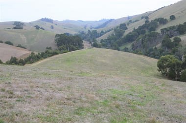 431 TERRITORY ROAD Strzelecki VIC 3950 - Image 1