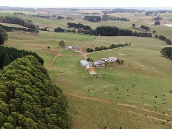 33 Gabys Road Nabageena TAS 7330 - Image 1
