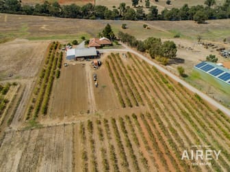 5528 West Swan Road West Swan WA 6055 - Image 1