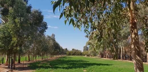 Click to view all images 9 Palmer Road Kyvalley VIC 3621 - Image 2