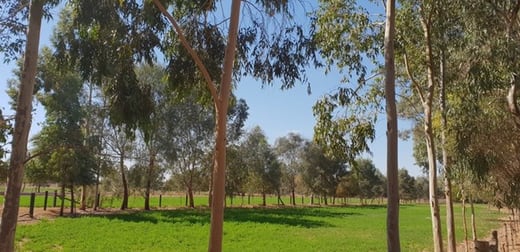 Click to view all images 9 Palmer Road Kyvalley VIC 3621 - Image 3