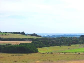 LOT 1 PYRAMID ROCK ROAD Ventnor VIC 3922 - Image 2