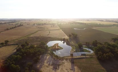 656  Eulomo Settlement Road Bethungra NSW 2590 - Image 3