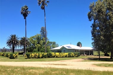 . 'Cloven Hills', Neilrex Rd Coolah NSW 2843 - Image 3