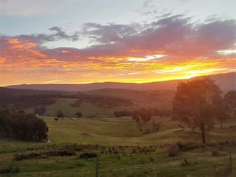 145 Lot 8 Leonard Drive Omeo VIC 3898 - Image 2