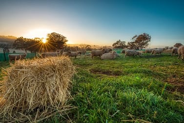 190 Turners Lane Cootamundra NSW 2590 - Image 2