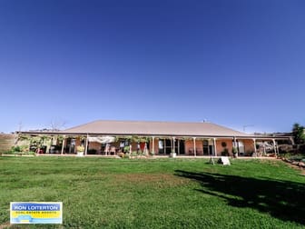 Click to view all images 789 Back Brawlin Road Cootamundra NSW 2590 - Image 1
