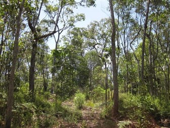 0 Tully-Mission Beach Road East Feluga QLD 4854 - Image 2