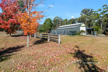 2500 MANSFIELD-WHITFIELD ROAD Tolmie VIC 3723 - Image 3