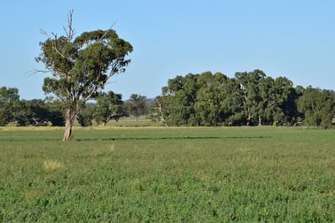 'Cockleshell Corner' The Springs Road Dubbo NSW 2830 - Image 1