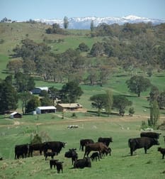 1124 Gullies Road Moonbah NSW 2627 - Image 1