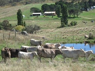 1124 Gullies Road Moonbah NSW 2627 - Image 3
