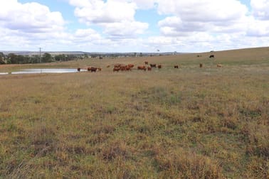 630 Riverleigh School Bus Road Mundubbera QLD 4626 - Image 3