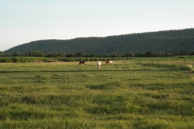 56 Bahr Road Shirbourne QLD 4809 - Image 2