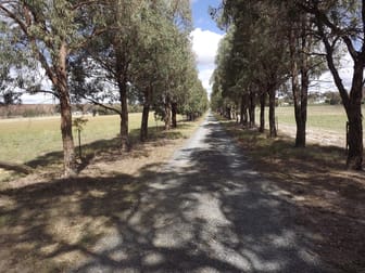 172 Paling Yard Road Wallangarra QLD 4383 - Image 3
