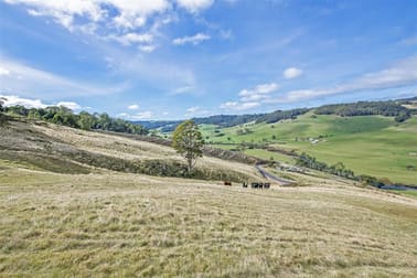 1689 South Riana Road Gunns Plains TAS 7315 - Image 3