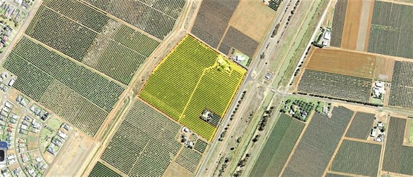 Farm 1685 Rankins Springs Road Griffith NSW 2680 - Image 1