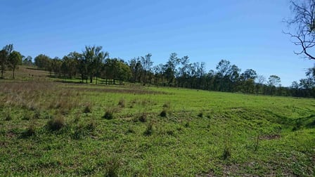 Lot 2 Cnr Wallace and Gittins Road Withcott QLD 4352 - Image 1