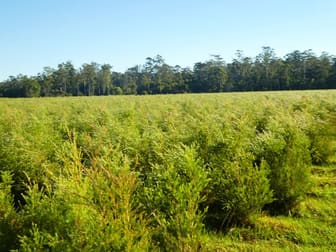 2670 Bungawalbin Whiporie Road Gibberagee NSW 2469 - Image 3