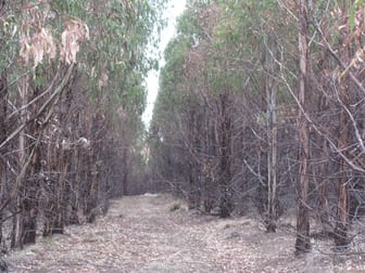 "Trap Hut" Meadsfield Road Bothwell TAS 7030 - Image 2