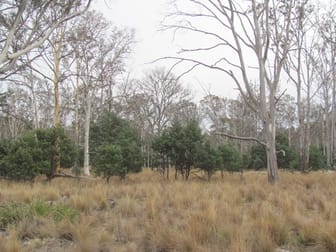 "Trap Hut" Meadsfield Road Bothwell TAS 7030 - Image 3