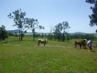 1/ Christies Road Bemerside QLD 4850 - Image 1