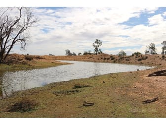 468 Emu Valley Tullamore NSW 2874 - Image 1