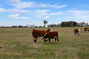 175 Bourkes Road Warncoort VIC 3243 - Image 2