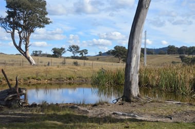 4739 Castlereagh Highway, Capertee Rylstone NSW 2849 - Image 2