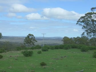 520 Kooralgin Mt Binga Road Gilla QLD 4314 - Image 2