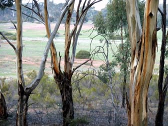 CA 34A Wychitella Road Wedderburn VIC 3518 - Image 2