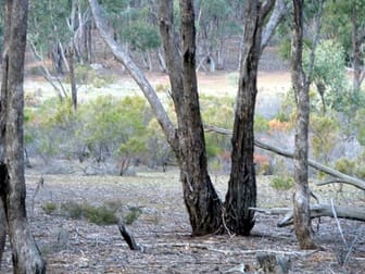 CA 34A Wychitella Road Wedderburn VIC 3518 - Image 3