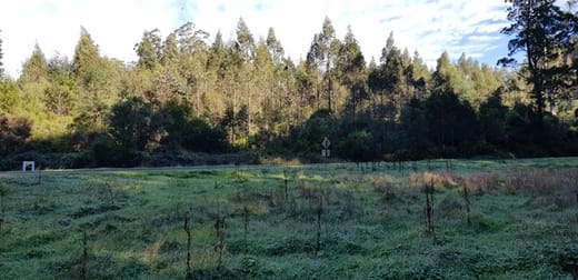 3/ Albert River Road Wonyip VIC 3962 - Image 2