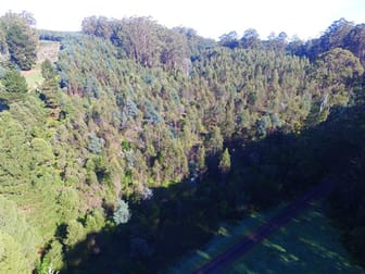 3/ Albert River Road Wonyip VIC 3962 - Image 3