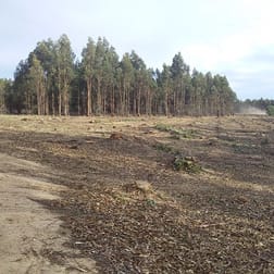 Lots 3812,4364 Weld Road Capel River WA 6271 - Image 2