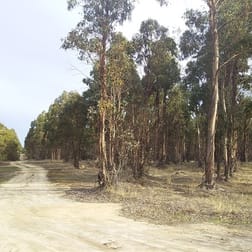 Lots 3812,4364 Weld Road Capel River WA 6271 - Image 3
