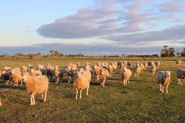 Oppenheims Outlet Road Pomborneit North VIC 3260 - Image 1