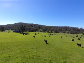 Click to view all images 484 Pigman Rd Dyraaba NSW 2470 - Image 1