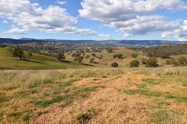 Pages Creek Road Ellerston NSW 2337 - Image 2